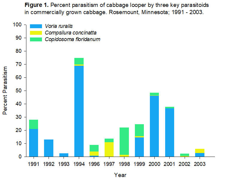 Percent parasitism of cabbage looper